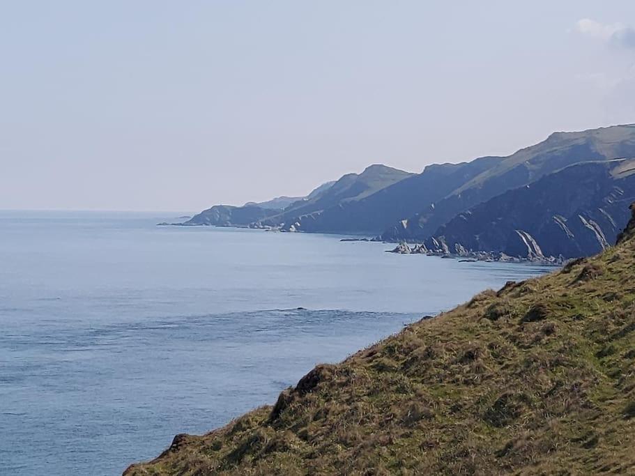 Flat 1 High Tide House, - Beautifully Designed Ground Floor Flat With Sea Views And Garden Apartment