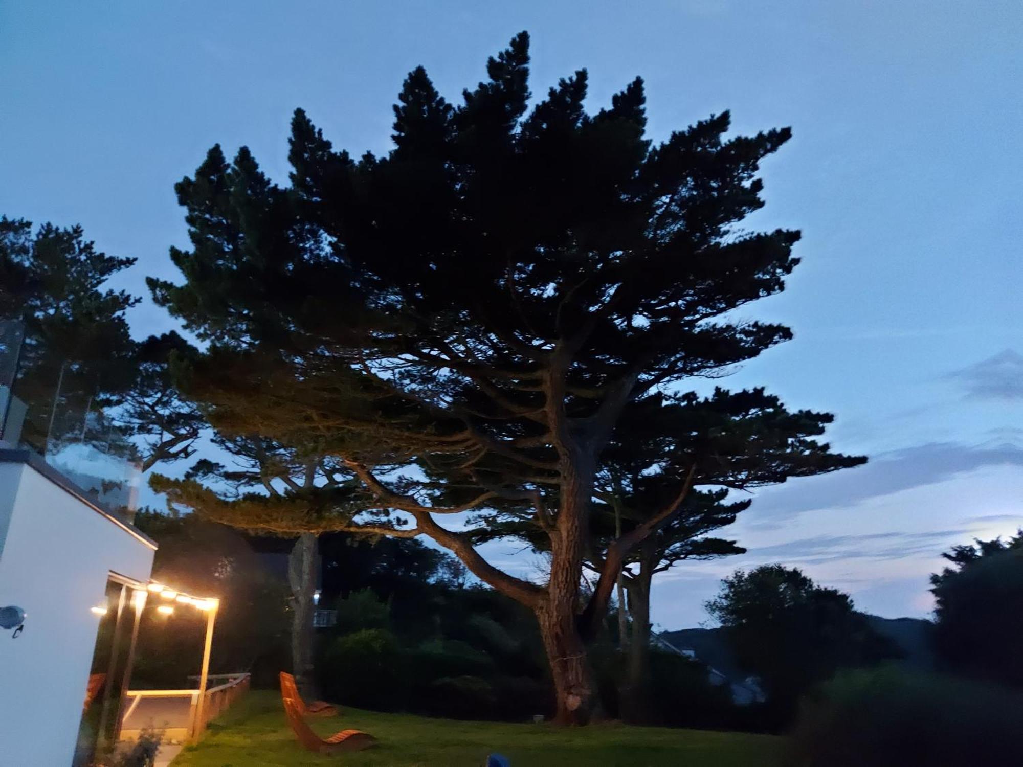 Apartment Flat 1 High Tide House, - Beautifully Designed Ground Floor Flat With Sea Views And Garden *
