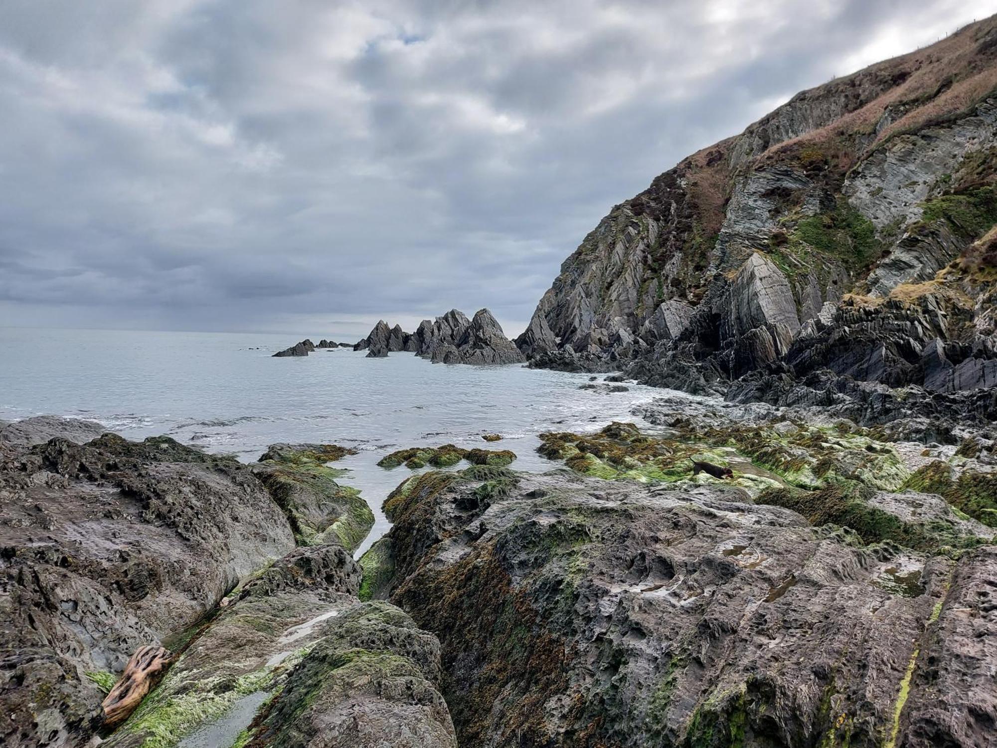 Apartment Flat 1 High Tide House, - Beautifully Designed Ground Floor Flat With Sea Views And Garden Mortehoe